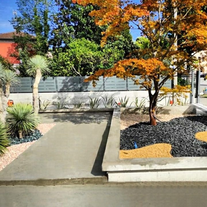 vendita piante mediterranee olivi palme